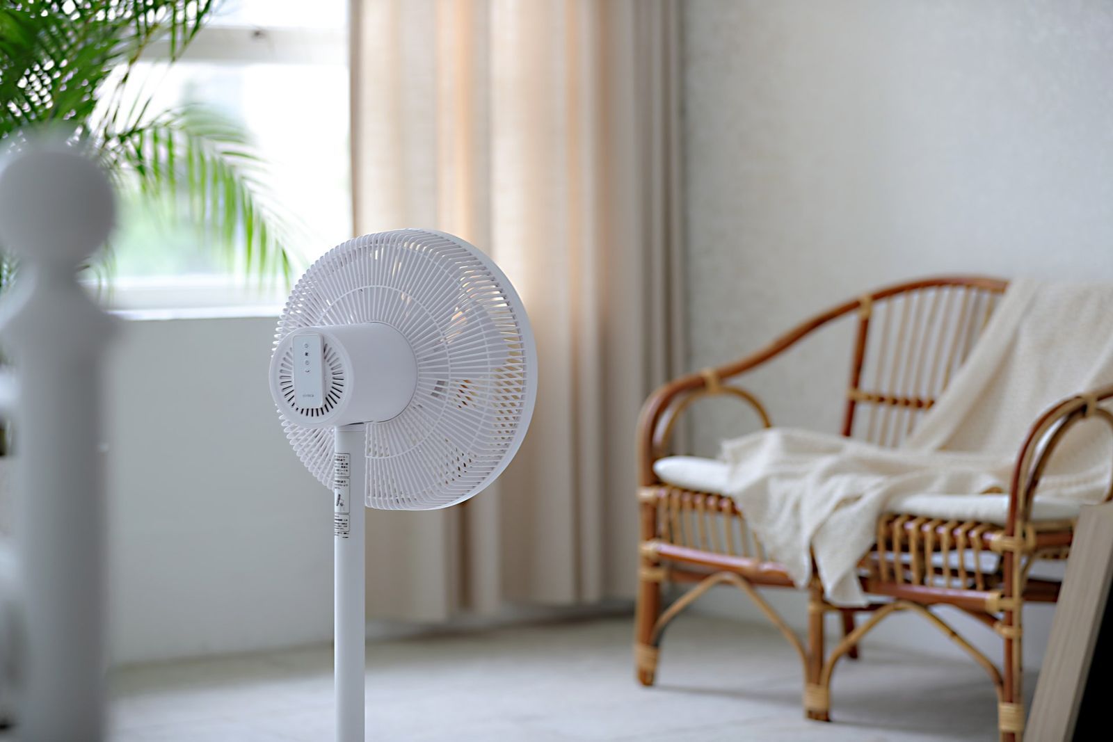 夏天的必備家電當然要選最好看的!除了Dyson以外還有「這九款造型風扇」好看又好用!