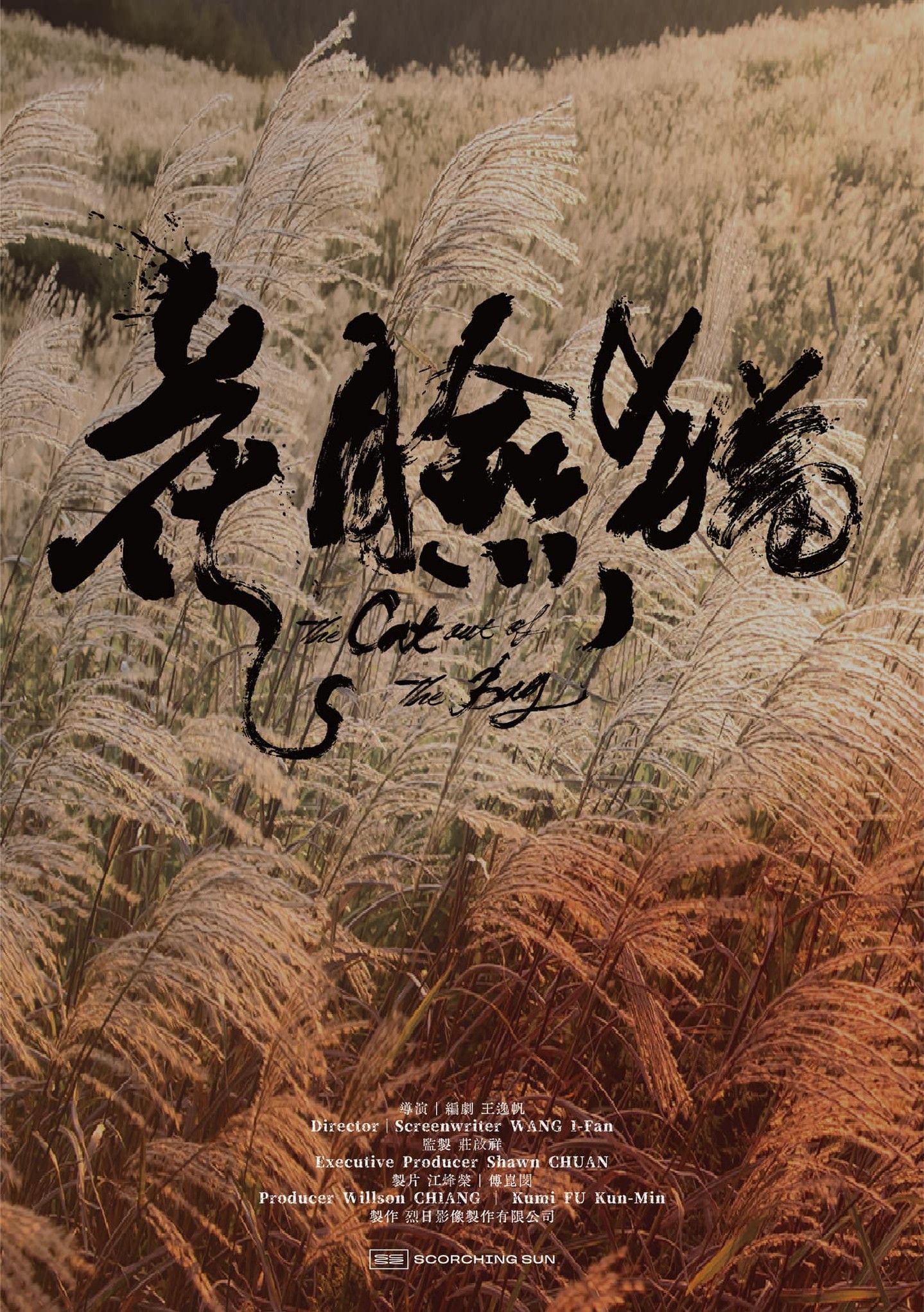 圖源:烈日影像