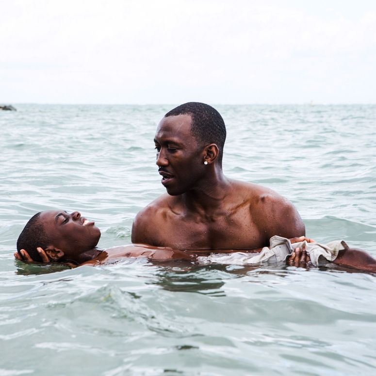 以下是我們對歷年「奧斯卡最佳影片獎」(Academy Award for Best Picture)得主作品的嚴選排名,圖為第 89 屆得主《月光下的藍色男孩》(Moonlight,2016)。