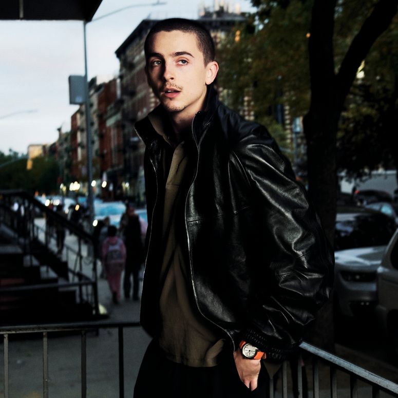 Image may contain: Timothée Chalamet, Clothing, Coat, Jacket, Adult, Person, Black Hair, Hair, Face, Head, and Photography