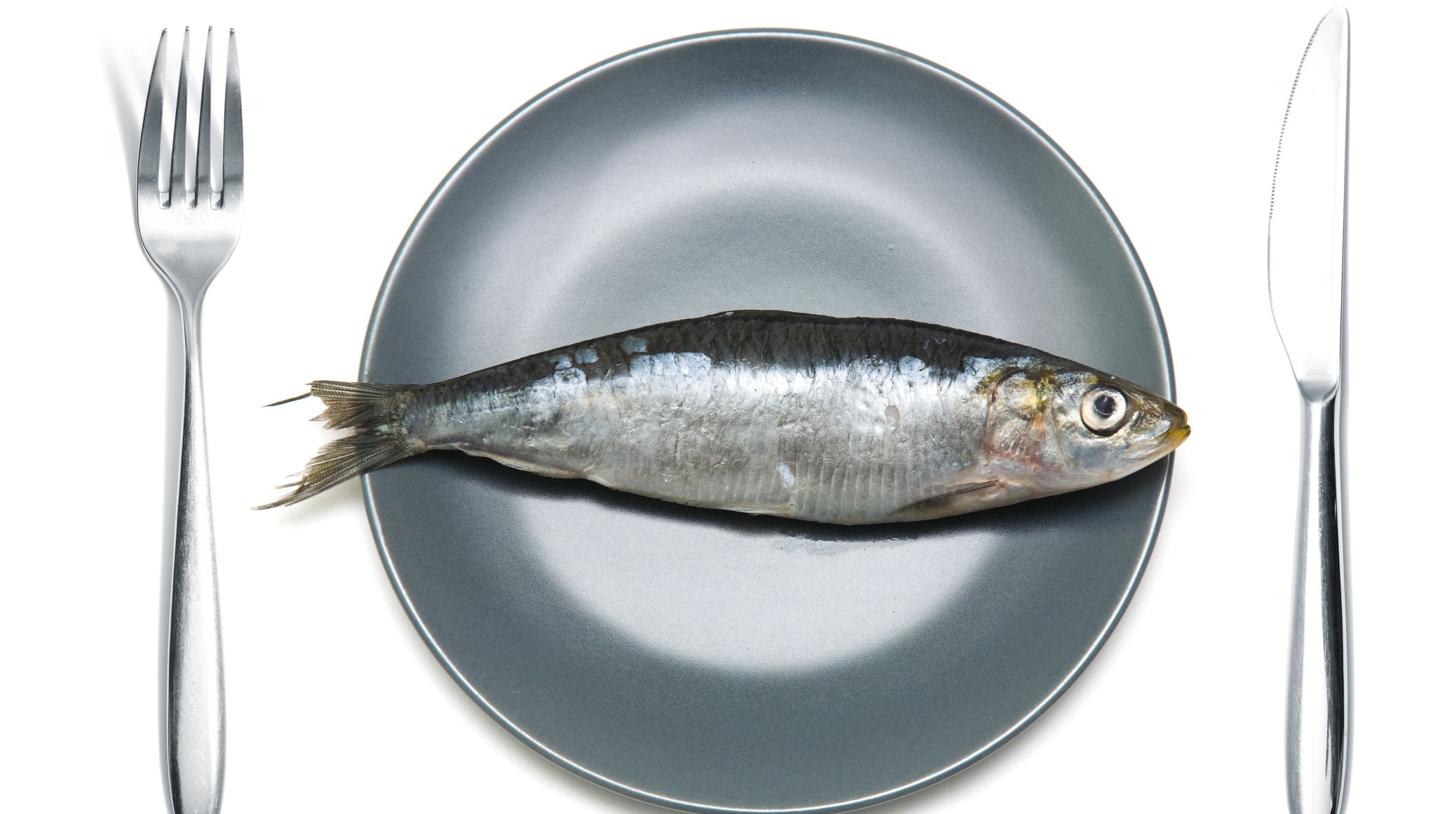 為了減脂,不吃雞改吃魚?「沙丁魚斷食」這招減重方式到底可不可行?